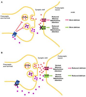 Histamine and Delirium: Current Opinion